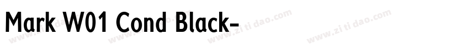 Mark W01 Cond Black字体转换